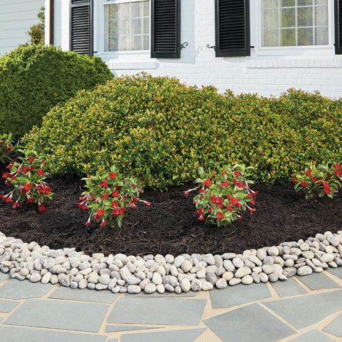 rock-landscaping-ideas-that-increase-curb-appeal-section-1